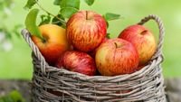 pic for Apple Basket 